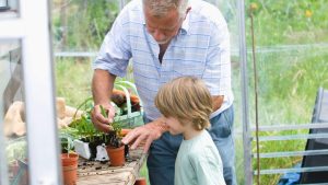 Hamilton George Care - Grandpa and grandson in greenhouse
