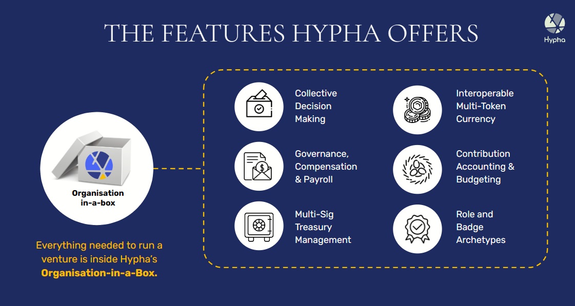 Features of Hypha – what it offers - Interlace Network